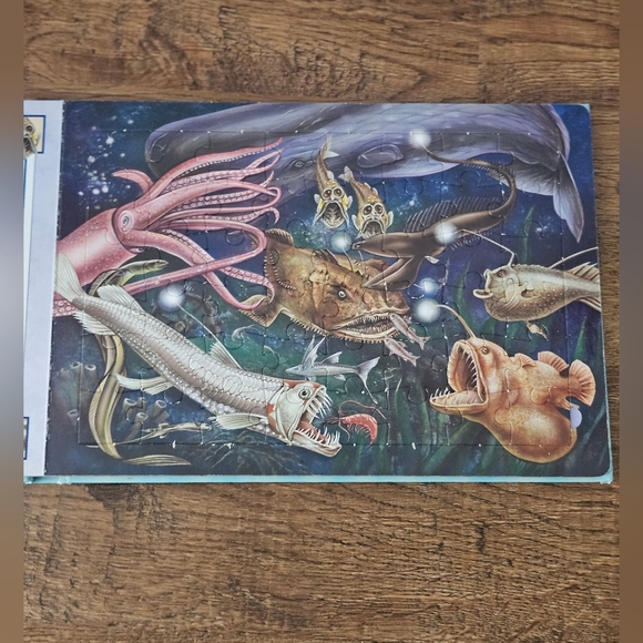 Other - 🖤3/$15 Five Puzzles! Ocean Creatures Book